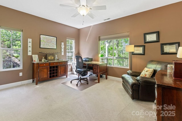 127 Poppy Ln, Asheville, NC 28803 - photo 25