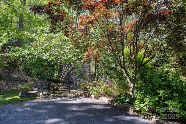 127 Poppy Ln, Asheville, NC 28803 - photo 30