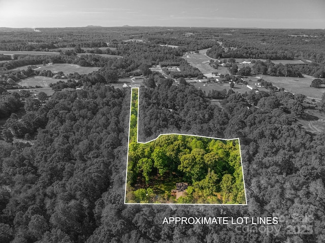 aerial view with a view of trees