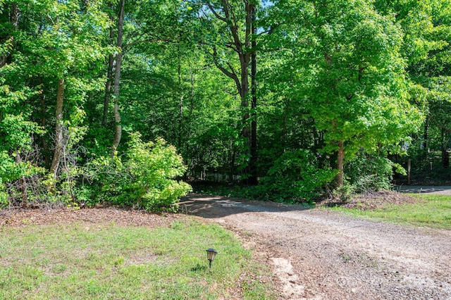 view of road featuring a wooded view
