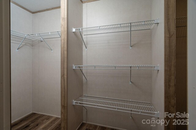 walk in closet with wood finished floors