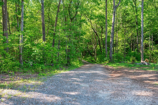 view of dirt / gravel road with a view of trees