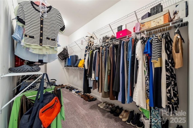 3588 County Down Ave, Kannapolis, NC 28081 - walk in closet featuring carpet flooring