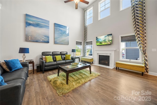 3588 County Down Ave, Kannapolis, NC 28081 - living area featuring wood finished floors, ceiling fan, a towering ceiling, a premium fireplace, and baseboards