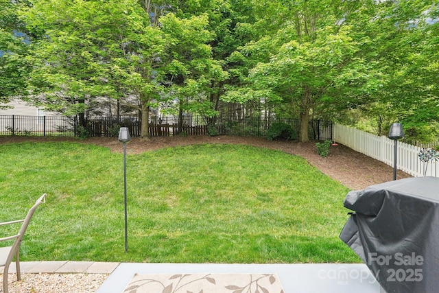 3032 Kilbeggan Dr, Clover, SC 29710 - view of fenced backyard