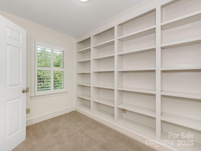 232 Perrin Pl, Charlotte, NC 28207 - view of storage area