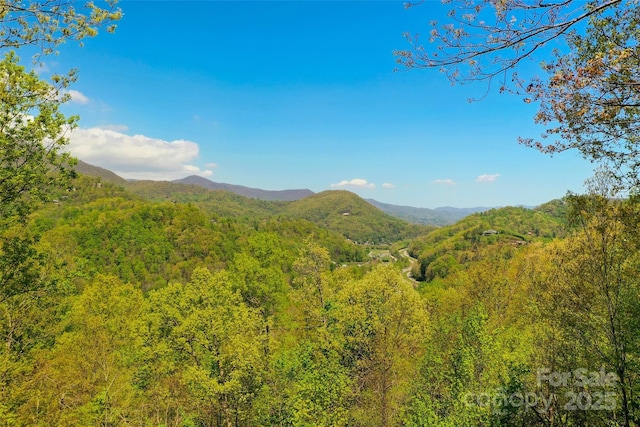 property view of mountains featuring a forest view