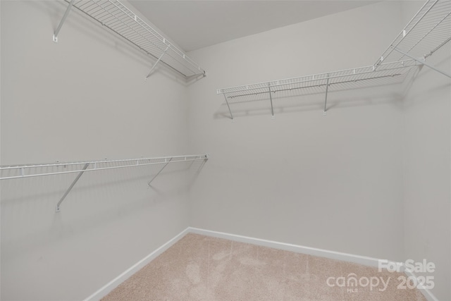 spacious closet with carpet floors