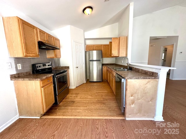 8551 Appledale Dr, Charlotte, NC 28262 - kitchen featuring appliances with stainless steel finishes, a sink, under cabinet range hood, vaulted ceiling, and dark countertops