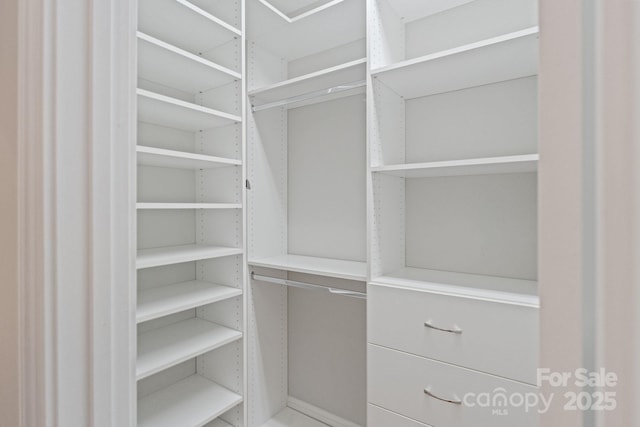 view of walk in closet