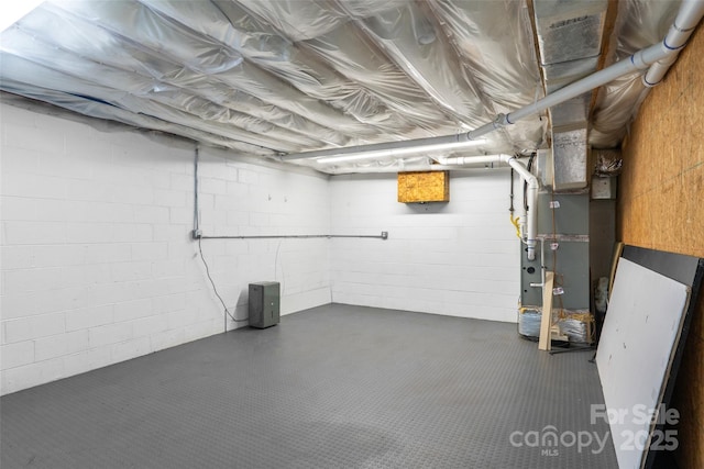 unfinished below grade area with concrete block wall