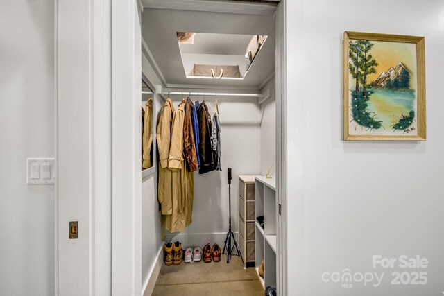 16 Caddis Ct, Marshall, NC 28753 - view of walk in closet
