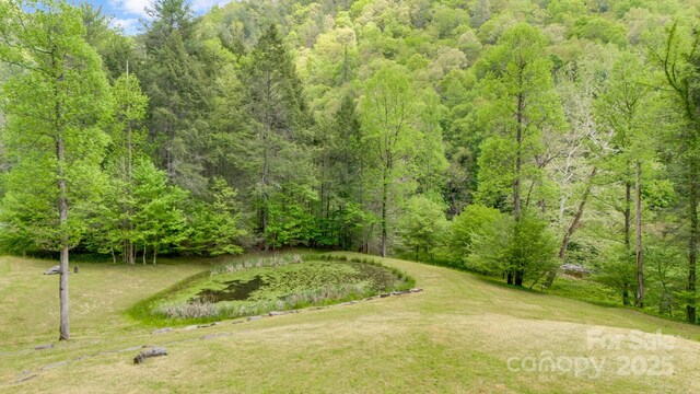 16 Caddis Ct, Marshall, NC 28753 - view of community featuring a wooded view and a lawn