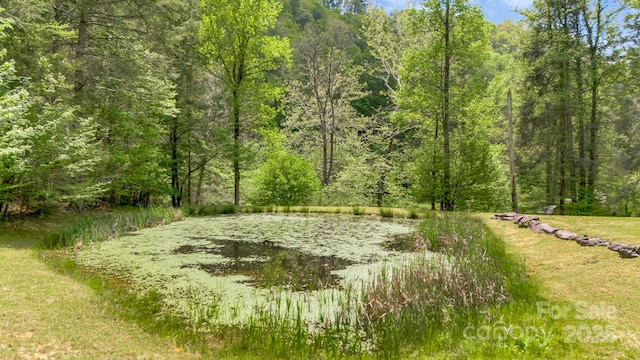 16 Caddis Ct, Marshall, NC 28753 - view of wooded area