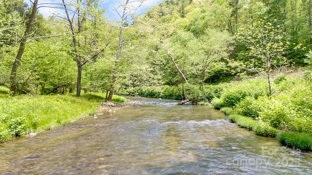 16 Caddis Ct, Marshall, NC 28753 - water view with a forest