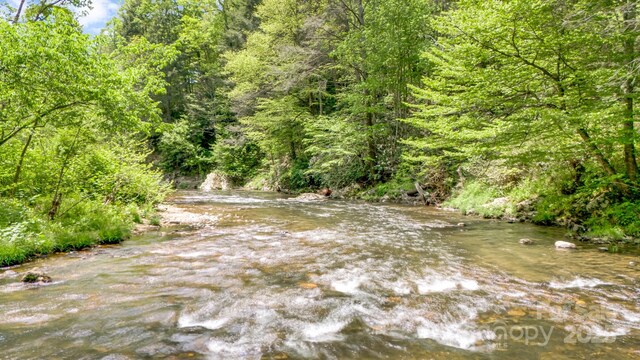 16 Caddis Ct, Marshall, NC 28753 - view of woods