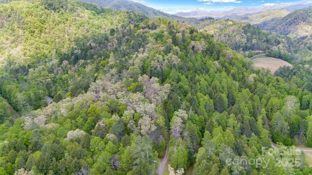 16 Caddis Ct, Marshall, NC 28753 - aerial view of property's location featuring a forest and a mountainous background