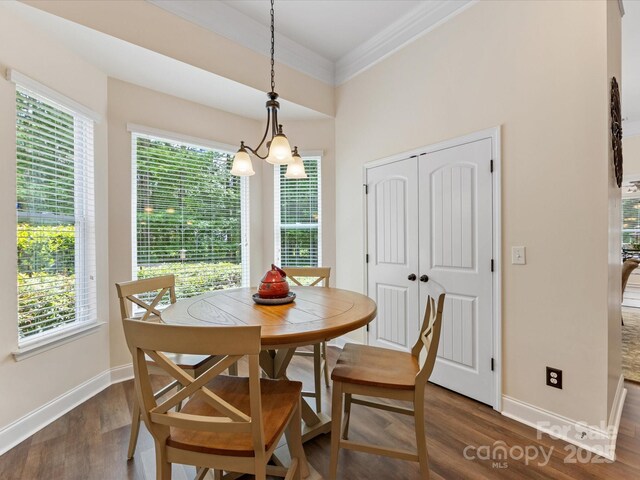 dining space featuring crown molding, a wealth of natural light, baseboards, and dark wood-style floors