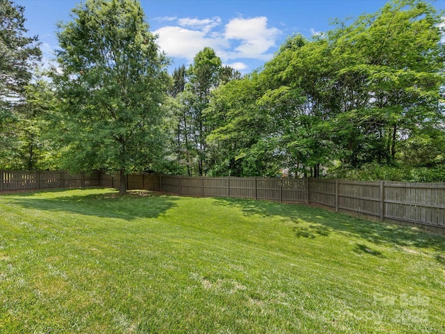 view of yard featuring a fenced backyard