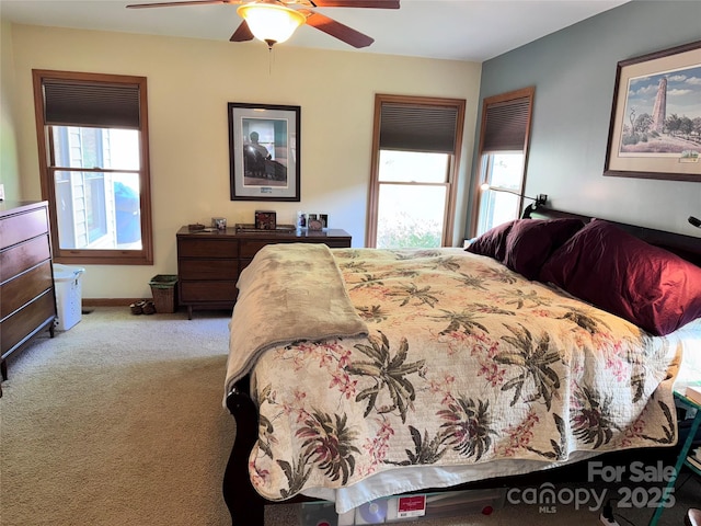5A Hedgerose Ct, Asheville, NC 28805 - carpeted bedroom featuring a ceiling fan and multiple windows