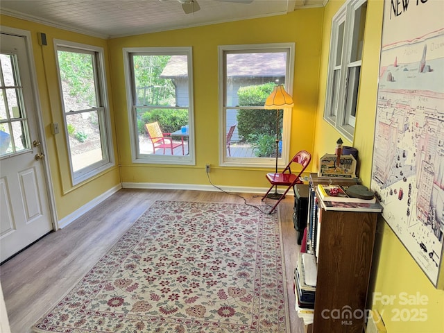 5A Hedgerose Ct, Asheville, NC 28805 - entryway featuring light wood-style floors, ornamental molding, baseboards, and ceiling fan