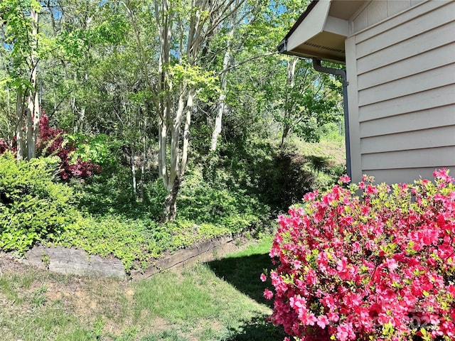 5A Hedgerose Ct, Asheville, NC 28805 - view of yard
