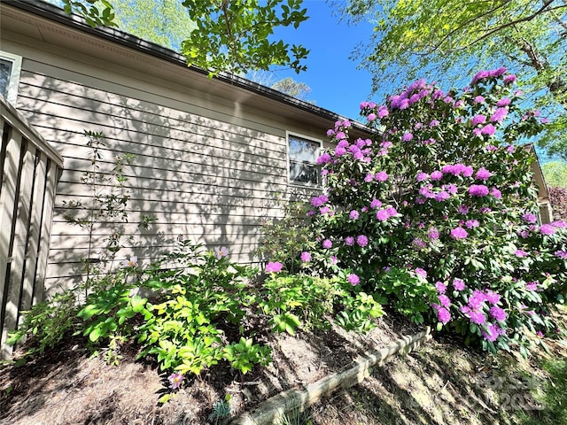 5A Hedgerose Ct, Asheville, NC 28805 - view of exterior details