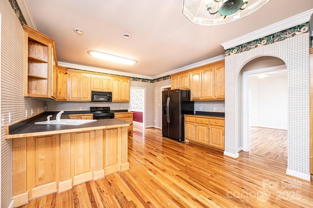 kitchen with a sink, light wood finished floors, and black appliances