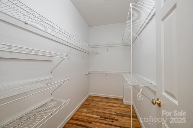 spacious closet featuring wood finished floors