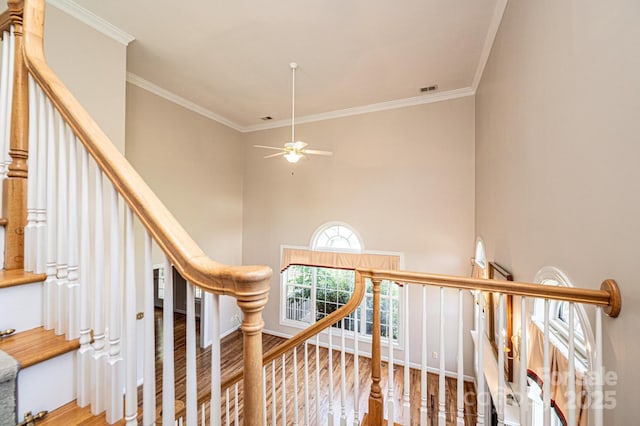 stairs featuring crown molding, visible vents, a towering ceiling, wood finished floors, and ceiling fan