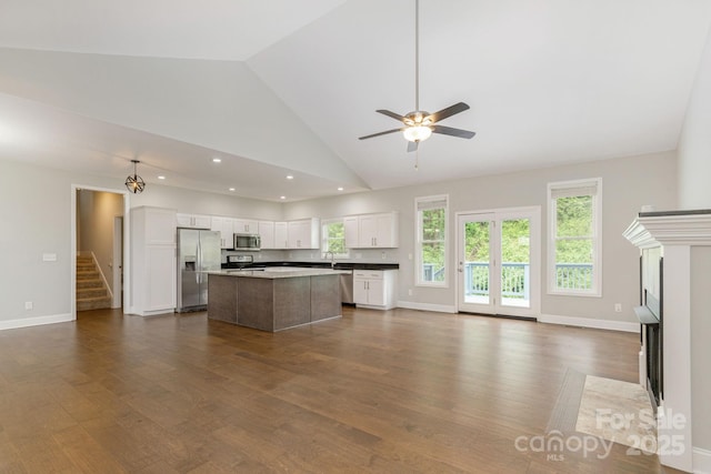 76 Tryon View Dr, Flat Rock, NC 28731 - kitchen featuring open floor plan, appliances with stainless steel finishes, a healthy amount of sunlight, and dark wood finished floors