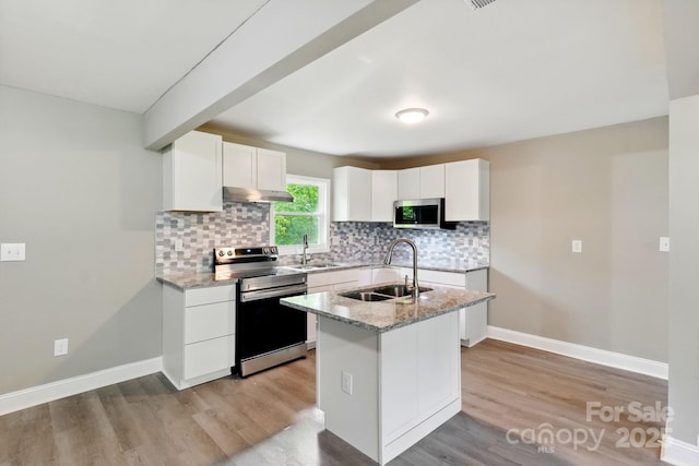 131 Little Forest Ln, Statesville, NC 28625 - kitchen with stainless steel appliances, light stone counters, a sink, and light wood-style floors