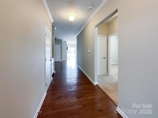 hallway with crown molding, baseboards, and wood finished floors