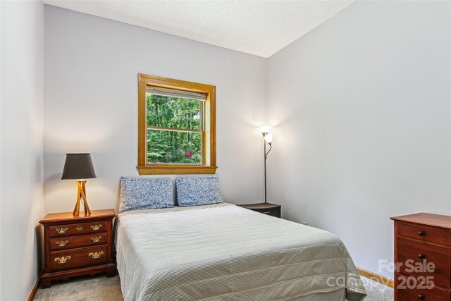 bedroom featuring baseboards and light carpet