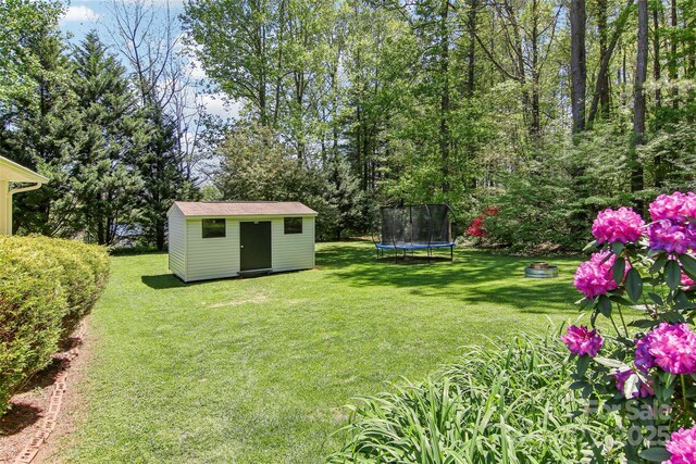 view of yard featuring an outbuilding, a trampoline, and a storage unit