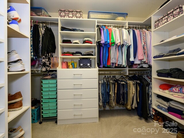 10944 Persimmon Creek Dr, Mint Hill, NC 28227 - walk in closet featuring carpet flooring