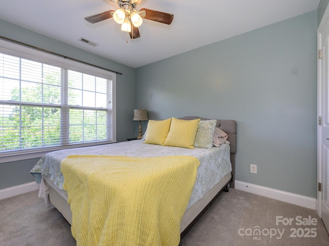 10944 Persimmon Creek Dr, Mint Hill, NC 28227 - carpeted bedroom featuring baseboards, multiple windows, a ceiling fan, and visible vents