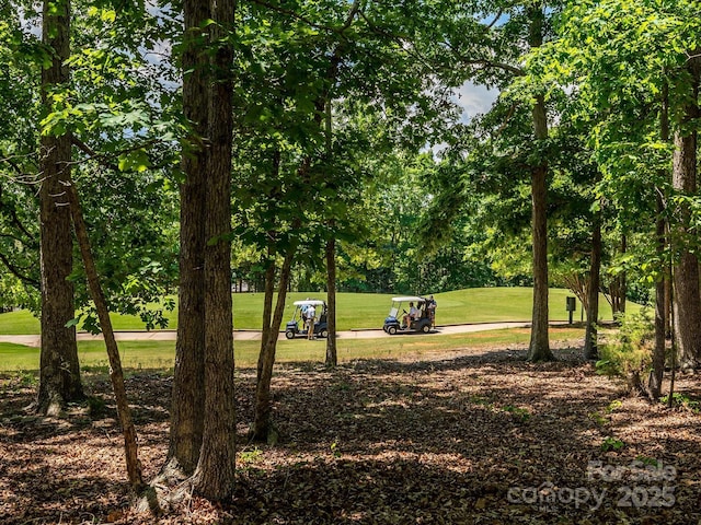 10944 Persimmon Creek Dr, Mint Hill, NC 28227 - view of community with a yard
