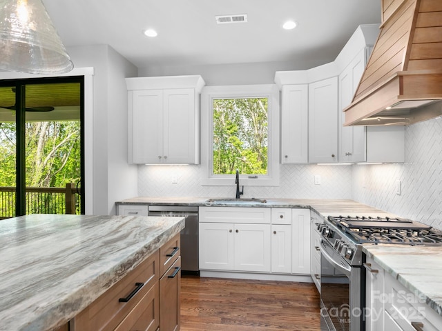 kitchen with a healthy amount of sunlight, stainless steel appliances, custom exhaust hood, and a sink