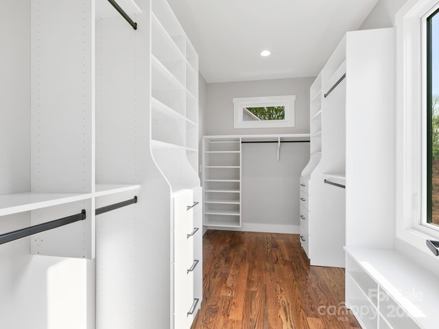 walk in closet featuring dark wood-style flooring