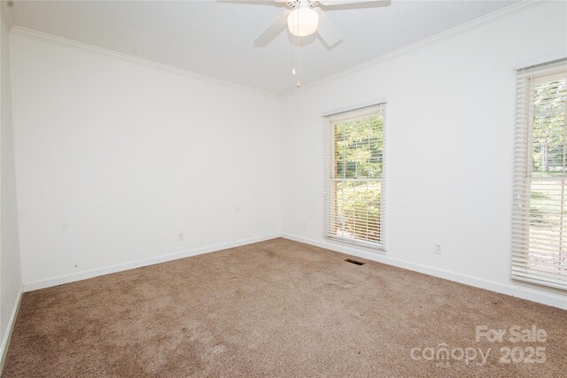 277 Forest Rd, Marion, NC 28752 - photo 25