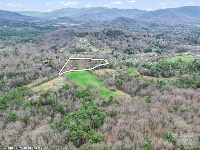 aerial view with a mountain view