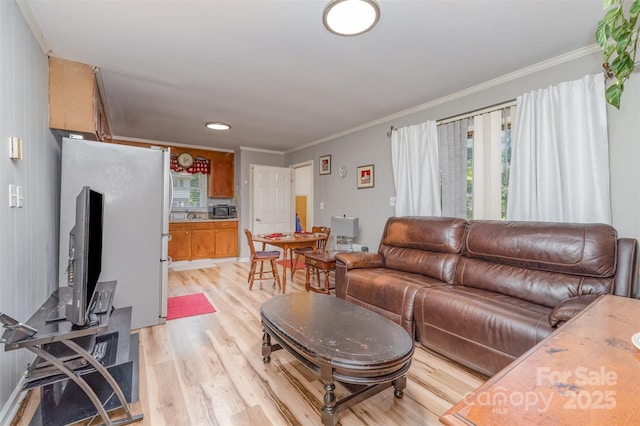 living area featuring ornamental molding and light wood-type flooring