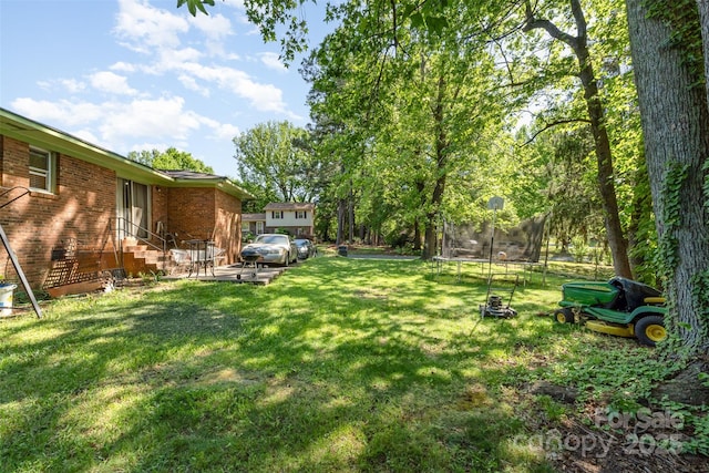 view of yard featuring entry steps and a trampoline