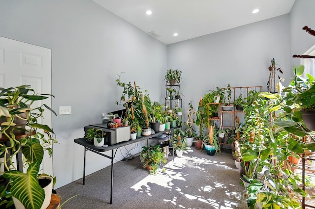 2379 Whitley Rd, Fort Mill, SC 29708 - carpeted office featuring recessed lighting