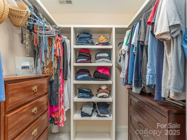 spacious closet with visible vents