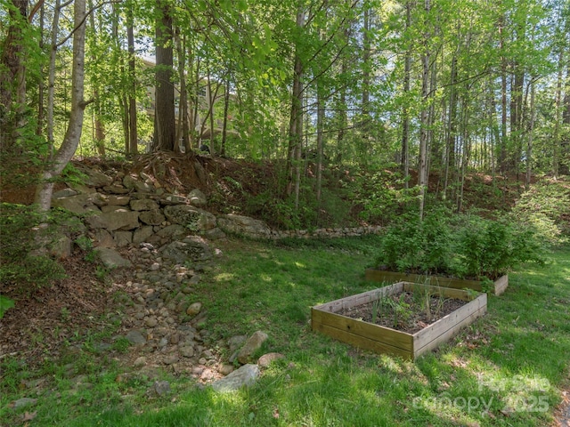 view of yard featuring a garden