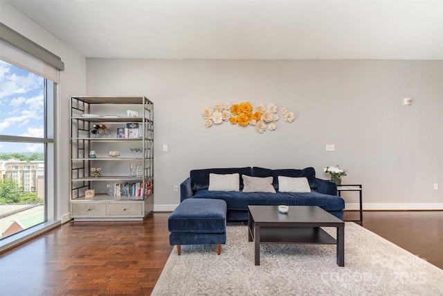 living area with baseboards, wood finished floors, and a wealth of natural light
