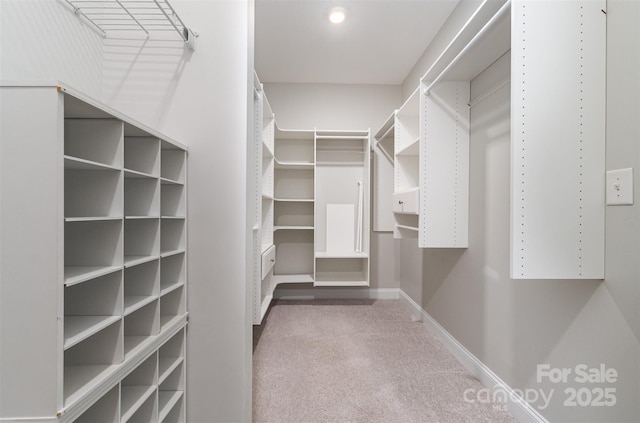 8210 Festival Way, Charlotte, NC 28215 - photo 24