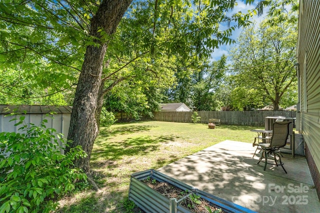 view of yard featuring a storage shed, a patio, an outbuilding, and a fenced backyard